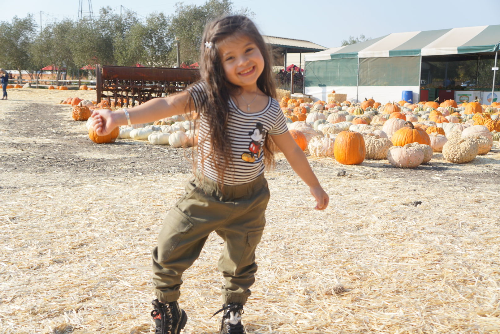 Picking Pumpkins 2017